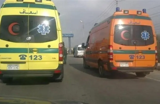 إصابة 13 شخصا فى انقلاب سيارة ميكروباص أجرة على طريق الداخلة شرق العوينات 